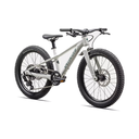 BICICLETA LITTLE KIDS SPZ RIPROCK 20 DUNEWHT/PNGRN