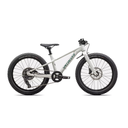 BICICLETA LITTLE KIDS SPZ RIPROCK 20 DUNEWHT/PNGRN